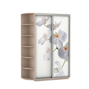 Шкаф двухдверный Экспресс 1700x600x2200, со стеллажом, Орхидея белая/дуб молочный в Сыктывкаре