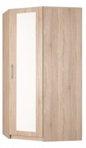Распашной шкаф угловой Реал (YR-198х1034 (7)-М, Вар.4), с зеркалом в Сыктывкаре