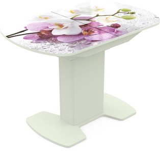 Кухонный стол раскладной Корсика исп. 1 Фотопечать (Цветы №44) 1100(1415)*700 в Сыктывкаре