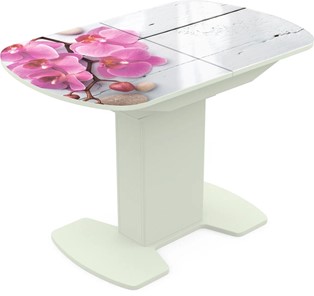 Кухонный стол раскладной Корсика исп. 2 Фотопечать (Цветы №24) 1200(1515)*800 в Сыктывкаре