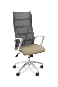 Кресло для руководителя Топ X белый каркас, сетка/ткань TW / серая/светло-серая в Сыктывкаре