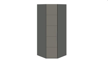 Распашной шкаф угловой Наоми, цвет Фон серый, Джут СМ-208.07.06 в Сыктывкаре
