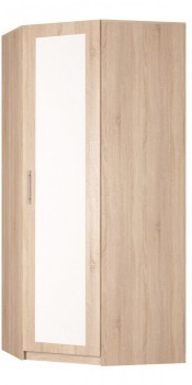 Шкаф угловой Реал (YR-230х884 (9)-М Вар.1), с зеркалом в Сыктывкаре - изображение