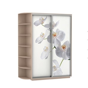 Шкаф Экспресс 1900x600x2200, со стеллажом, Орхидея белая/дуб молочный в Сыктывкаре