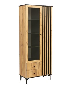 Шкаф комбинированный Либерти 51.02 (H-150) в Сыктывкаре
