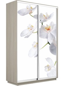 Шкаф-купе Экспресс 1400x600x2200, Орхидея белая/шимо светлый в Сыктывкаре