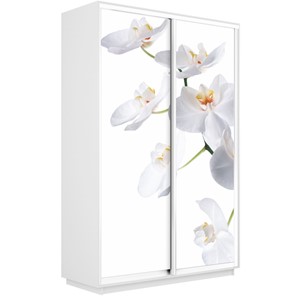 Шкаф 2-створчатый Экспресс 1600x450x2400, Орхидея белая/белый снег в Сыктывкаре