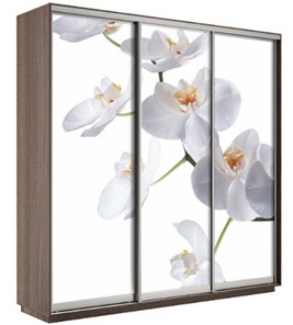 Шкаф 3-створчатый Экспресс 1800х600х2200, Орхидея бела/шимо темный в Сыктывкаре - предосмотр
