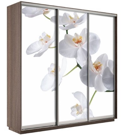 Шкаф 3-створчатый Экспресс 1800х600х2200, Орхидея бела/шимо темный в Сыктывкаре - изображение