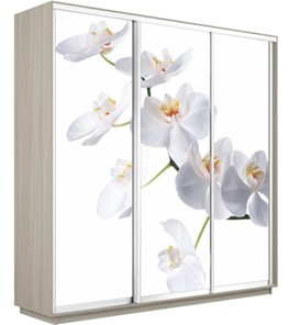 Шкаф 3-дверный Экспресс 2100х600х2200, Орхидея белая/шимо светлый в Сыктывкаре