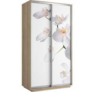 Шкаф 2-х створчатый Хит 1200x600x2200, белая орхидея, ясень шимо светлый в Сыктывкаре