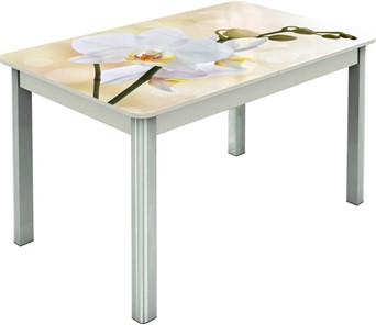 Кухонный стол раскладной Гамбург исп.2 ноги метал. крашеные №23, Фотопечать (Цветы №5) в Сыктывкаре