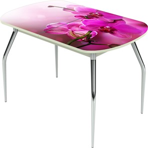 Кухонный стол раздвижной Ривьера исп.2 ноги метал. крашеные №24 Фотопечать (Цветы №16) в Сыктывкаре