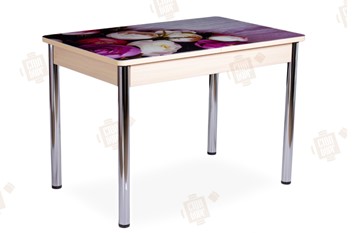 Кухонный стол раскладной Айсберг-01 СТФ, дуб/фотопечать пионы/ноги хром прямые круглые в Сыктывкаре