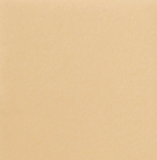 Стул кухонный Роджер Эконом С102-2(стандартная покраска) в Сыктывкаре - изображение 9
