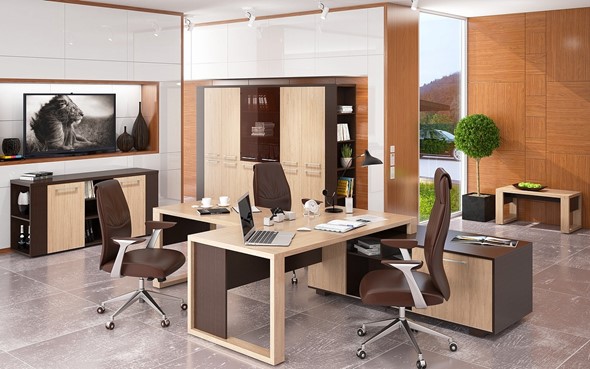 Кабинет руководителя ALTO с брифинг-приставкой, с низким и высокими шкафами в Сыктывкаре - изображение