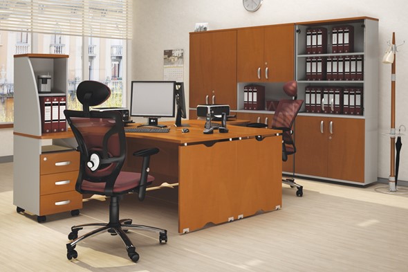 Комплект офисной мебели Милан для 2 сотрудников с тумбочками и большим шкафом в Сыктывкаре - изображение