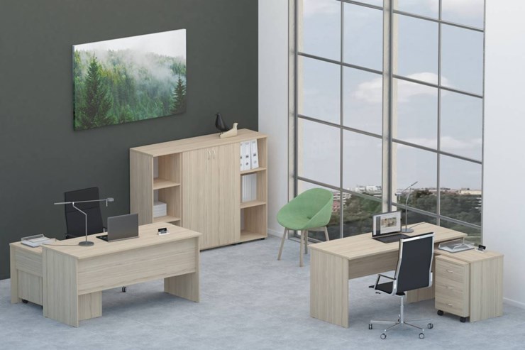 Офисный комплект мебели Twin для 2 сотрудников со шкафом для документов в Сыктывкаре - изображение