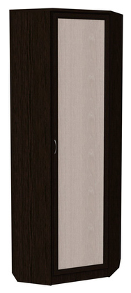 Шкаф распашной 402 угловой со штангой, цвет Венге в Сыктывкаре - изображение