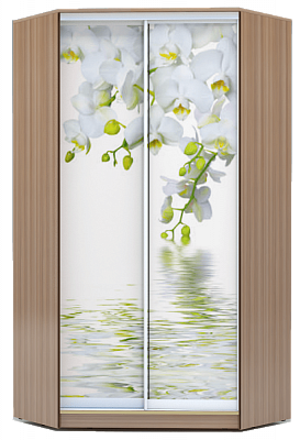 Шкаф 2300х1103, ХИТ У-23-4-77-05, Белая орхидея, шимо темный в Сыктывкаре - изображение