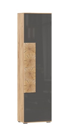 Шкаф одностворчатый Фиджи с декоративными накладками 659.300, Дуб Золотой/Антрацит в Сыктывкаре - изображение