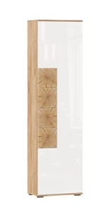 Шкаф одностворчатый Фиджи с декоративными накладками 659.300, Дуб Золотой/Белый в Сыктывкаре