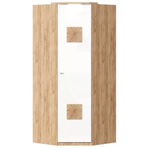 Шкаф угловой 45 с декоративной накладкой Фиджи, 659.248, белый в Сыктывкаре - предосмотр