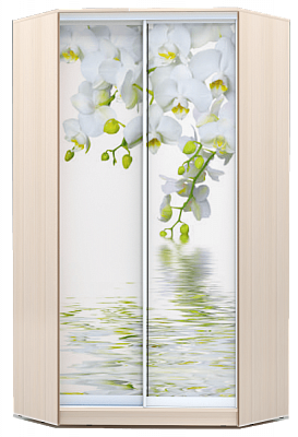 Шкаф угловой 2300х1103, ХИТ У-23-4-77-05, Белая орхидея, дуб млечный в Сыктывкаре - изображение