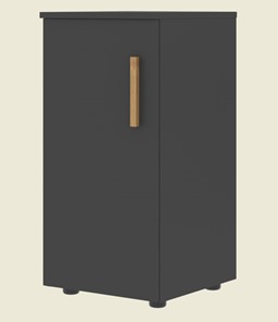 Низкий шкаф колонна с левой дверью FORTA Черный Графит FLC 40.1 (L) (399х404х801) в Сыктывкаре