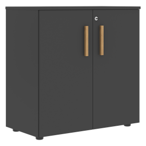 Низкий шкаф с малыми дверцами широкий FORTA Черный Графит FLC_80.1_Z__grafit.png FLC 80.1(Z) (798х404х801) в Сыктывкаре