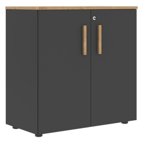 Шкаф широкий низкий с малыми дверцами FORTA Графит-Дуб Гамильтон  FLC 80.1(Z) (798х404х801) в Сыктывкаре