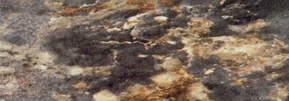 Кухонная столешница 100*60 см Королевский опал темный в Сыктывкаре - изображение